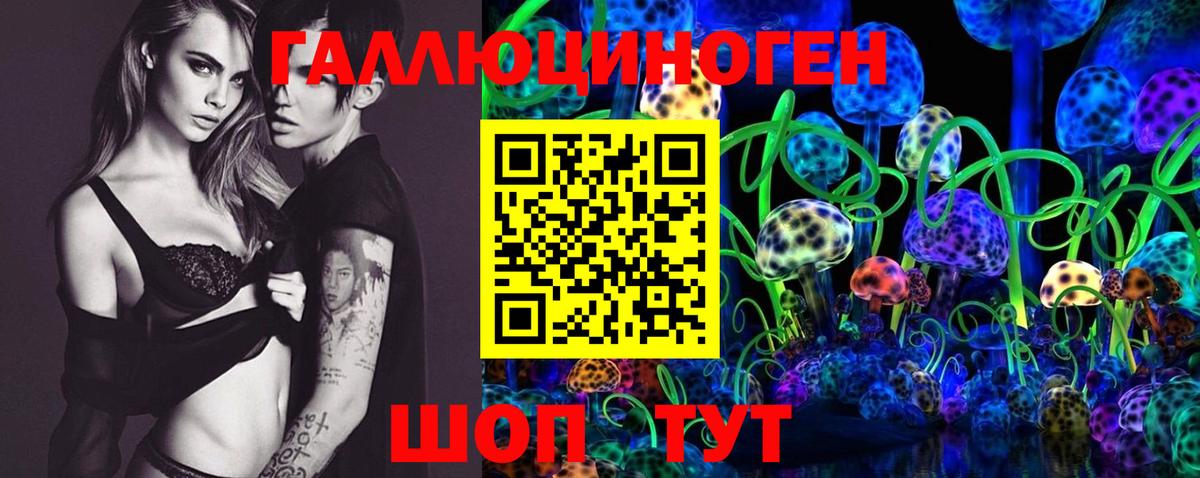 Губаха  Галлюциногенные грибы Psilocybe  Вход с VPN 